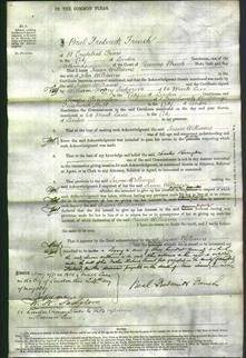 Court of Common Pleas - Susan Williams-Original Ancestry