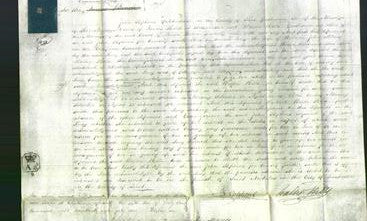 Court of Common Pleas - Lucy Allen-Original Ancestry