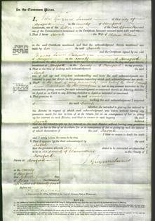 Court of Common Pleas - Sarah Willim-Original Ancestry