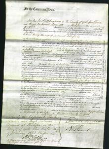 Court of Common Pleas - Mary Schofield-Original Ancestry