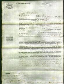 Court of Common Pleas - Anne Milnes-Original Ancestry