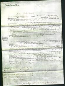 Court of Common Pleas - Frances Martin-Original Ancestry
