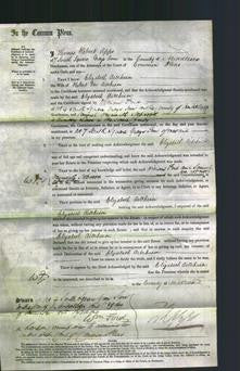 Court of Common Pleas - Elizabeth Turnhill Aitchison-Original Ancestry