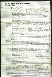 Court of Common Pleas - Ellen Davies-Original Ancestry