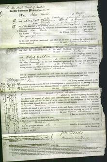 Court of Common Pleas - Agnes Jackson-Original Ancestry