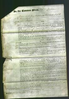 Court of Common Pleas - Laura Manclarke-Original Ancestry