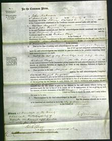 Court of Common Pleas - Margaret Ferguson-Original Ancestry