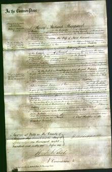 Court of Common Pleas - Matilda Banwell-Original Ancestry