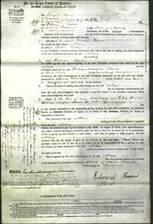 Court of Common Pleas - Mary Gibby-Original Ancestry