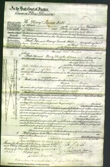 Court of Common Pleas - Esther Branford-Original Ancestry