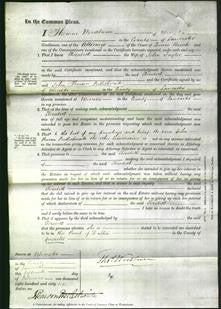 Court of Common Pleas - Elizabeth Taylor-Original Ancestry