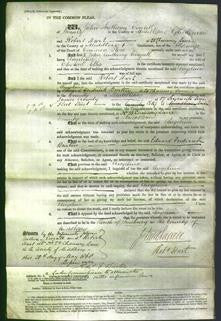 Court of Common Pleas - Angelina Ellis-Original Ancestry