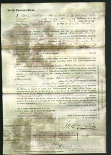 Court of Common Pleas - Elizabeth Smith-Original Ancestry