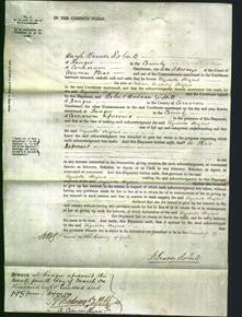 Court of Common Pleas - Elizabeth Hughes-Original Ancestry
