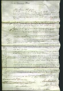 Court of Common Pleas - Mary Dawkins, Ann Crabtree-Original Ancestry