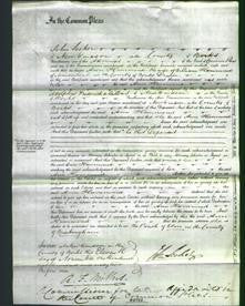 Court of Common Pleas - Ann Hammond-Original Ancestry