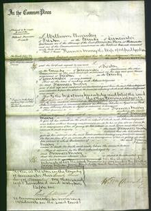 Court of Common Pleas - Frances Mary Godson-Original Ancestry