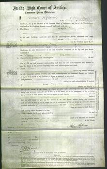 Court of Common Pleas - Mary Ann Scott-Original Ancestry