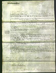 Court of Common Pleas - Catherine Newton-Original Ancestry