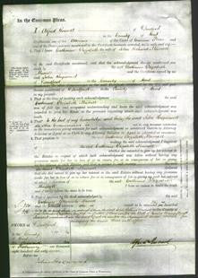 Court of Common Pleas - Catherine Elizabeth Maxall-Original Ancestry