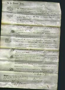 Court of Common Pleas - Mary Diplock and Ann Carr-Original Ancestry