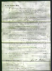 Court of Common Pleas - Jenny Penfold-Original Ancestry