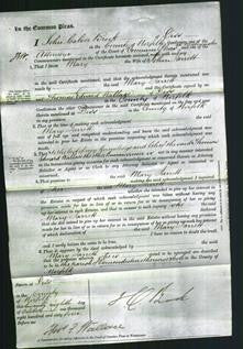 Court of Common Pleas - Mary Jarrett-Original Ancestry