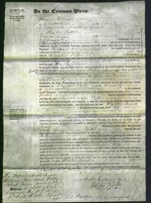 Court of Common Pleas - Laurencina Potter-Original Ancestry