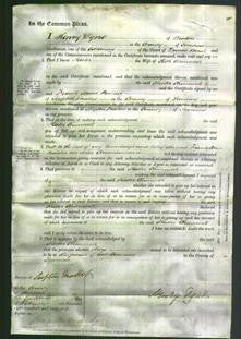 Court of Common Pleas - Hester Chinnock-Original Ancestry