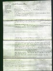 Court of Common Pleas - Margaret Dunn-Original Ancestry