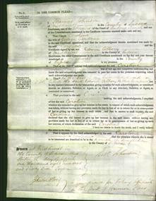 Court of Common Pleas - Caroline Gardner-Original Ancestry