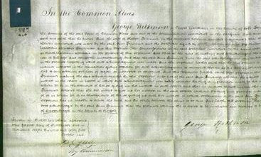 Court of Common Pleas - Ann Grinnior-Original Ancestry