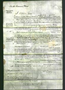 Court of Common Pleas - Ann Elcock-Original Ancestry