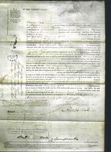 Court of Common Pleas - Jemima Gold Richards-Original Ancestry