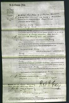 Court of Common Pleas - Emily Kemp-Original Ancestry