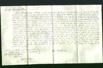 Court of Common Pleas - Mary Langburn-Original Ancestry