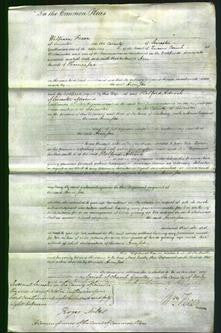 Court of Common Pleas - Ann Jee-Original Ancestry