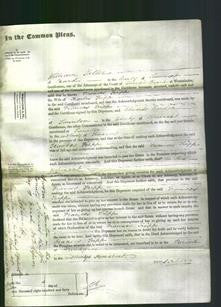 Court of Common Pleas - Frances Tripp-Original Ancestry