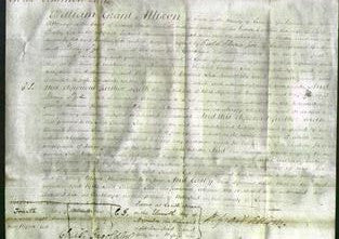 Court of Common Pleas - Caroline Lees-Original Ancestry