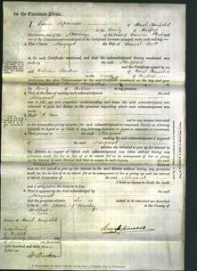 Court of Common Pleas - Margaret Lovett-Original Ancestry