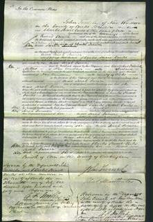 Court of Common Pleas - Sarah Turner-Original Ancestry