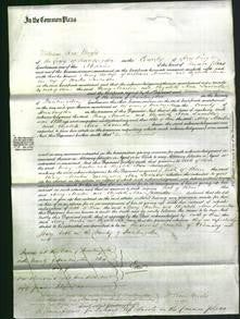 Court of Common Pleas - Mary Martin and Elizabeth Ann Lavender-Original Ancestry