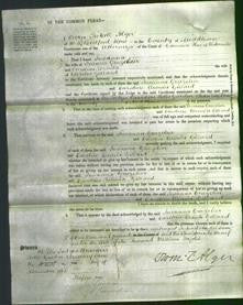 Court of Common Pleas - Susanna Gruzelier and Caroline Ursula Gillard