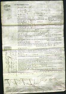 Court of Common Pleas - Catherine Abbott-Original Ancestry