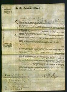 Court of Common Pleas - Mary Harvard-Original Ancestry