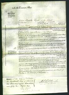 Court of Common Pleas - Maria Empson-Original Ancestry