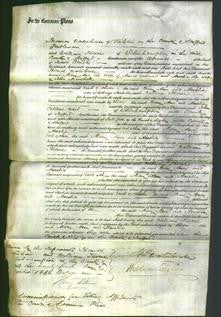 Court of Common Pleas - Mary Ann Westwood and Amelia Marshall-Original Ancestry