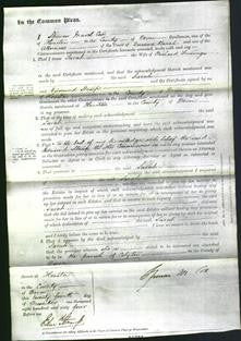 Court of Common Pleas - Sarah Fewings-Original Ancestry