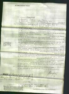 Court of Common Pleas - Mary Ann Hook-Original Ancestry