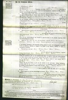 Court of Common Pleas - Jane Holt, Mary Ann Royds, Ann Greenwood, Mary Burns and Ann Clegg-Original Ancestry